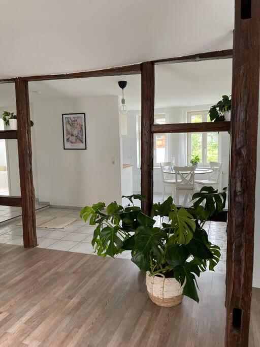 Charming Apartment ブランケンブルク エクステリア 写真